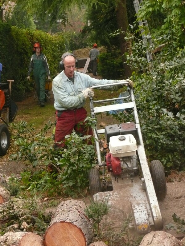 Boomverzorging, zagen en snoeien van bomen.